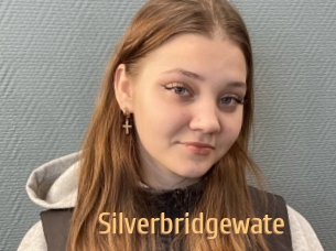 Silverbridgewate