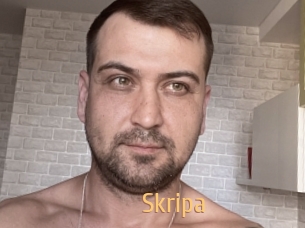 Skripa