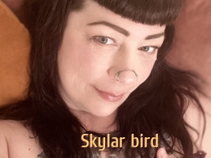 Skylar_bird