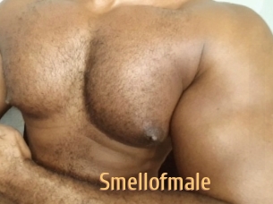 Smellofmale