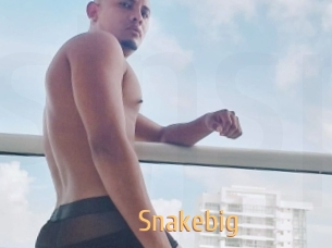 Snakebig