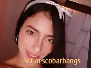 Sofiaescobarbangs