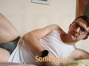 Sonicegay