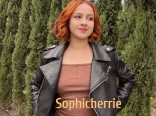 Sophicherrie