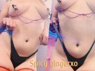 Spicy_gingerxo