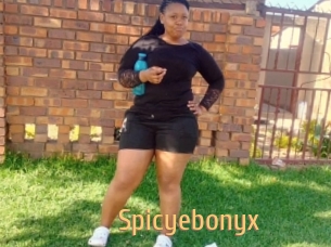 Spicyebonyx