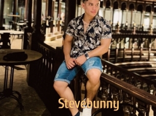 Stevebunny