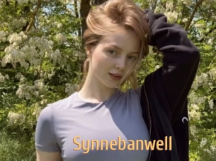 Synnebanwell