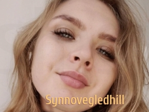 Synnovegledhill