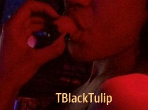 TBlackTulip