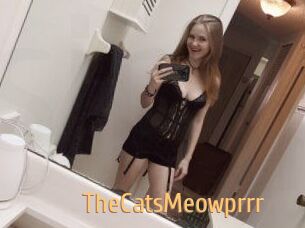 TheCatsMeowprrr