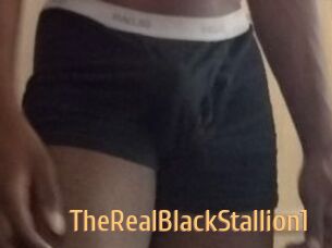 TheRealBlackStallion1