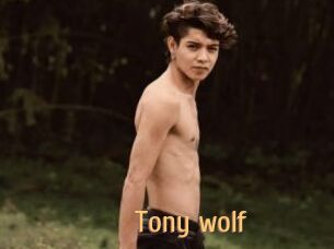 Tony_wolf