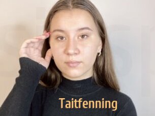 Taitfenning