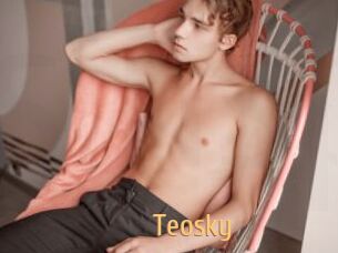teosky Single Spass