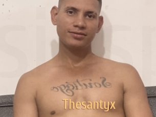 Thesantyx