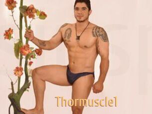 Thormuscle1