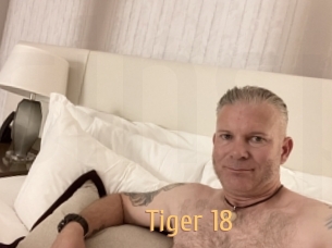 Tiger_18