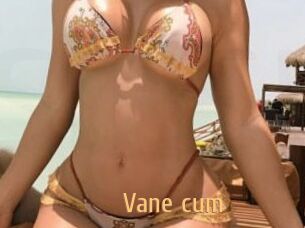 Vane_cum