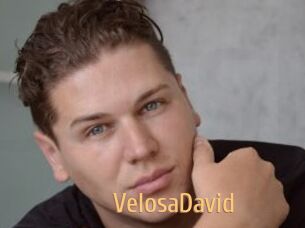 VelosaDavid