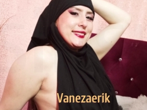 Vanezaerik