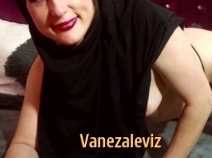 Vanezaleviz