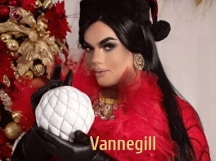 Vannegill