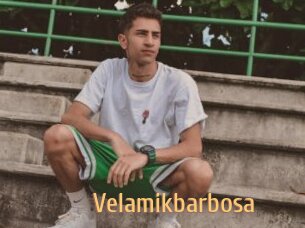 Velamikbarbosa