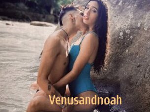 Venusandnoah