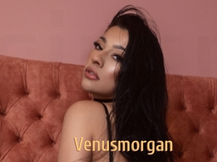 Venusmorgan