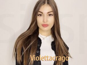 Violettacrago