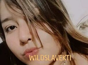 WILDSLAVEKTI