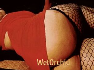 WetOrchid