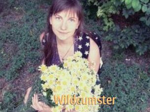 Wildcumster