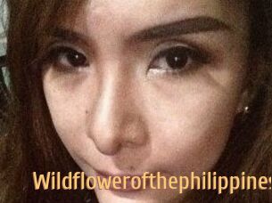 Wildflowerofthephilippines