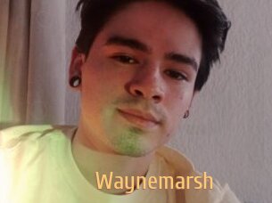 Waynemarsh