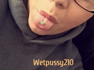 Wetpussy210