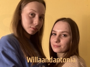 Willaandantonia