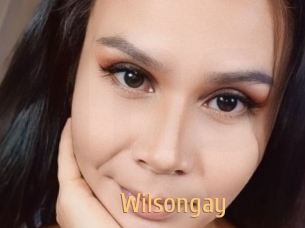 Wilsongay