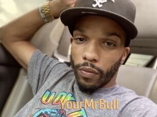 YourMrBull
