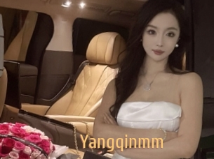 Yangqinmm