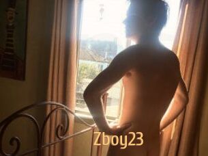 Zboy23