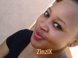 ZinziX