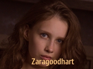 Zaragoodhart